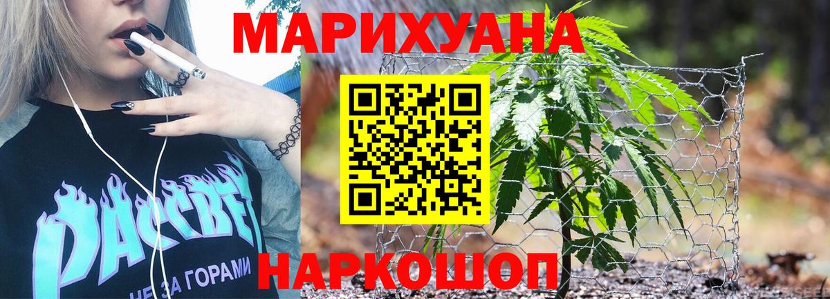 ГАШ Чернушка